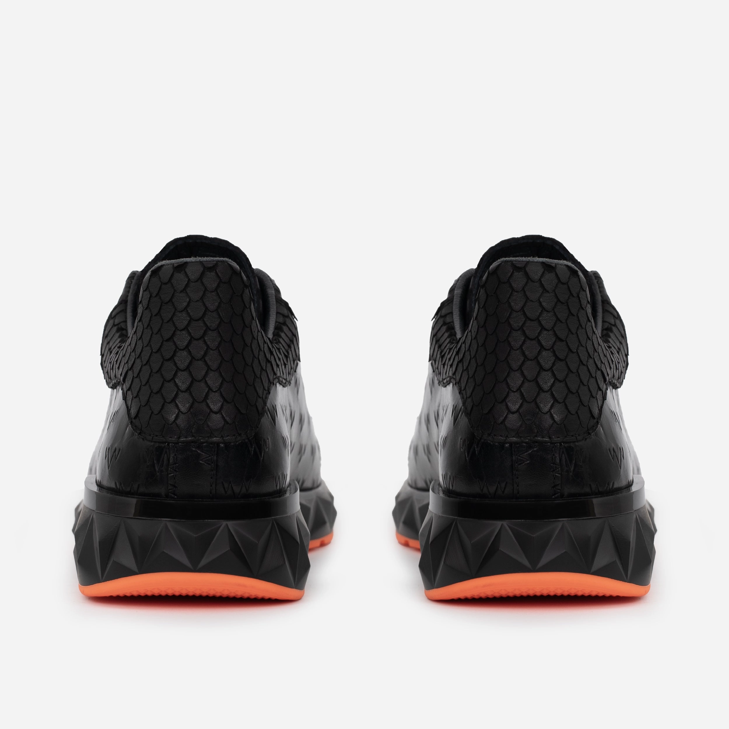 Elastic Bands The Caesars Black Leather  Men Sneaker