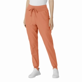 Wink Women's Thrive Stirrup Jogger Scrub Pant - Terra Cotta Sporty Comfort Wear