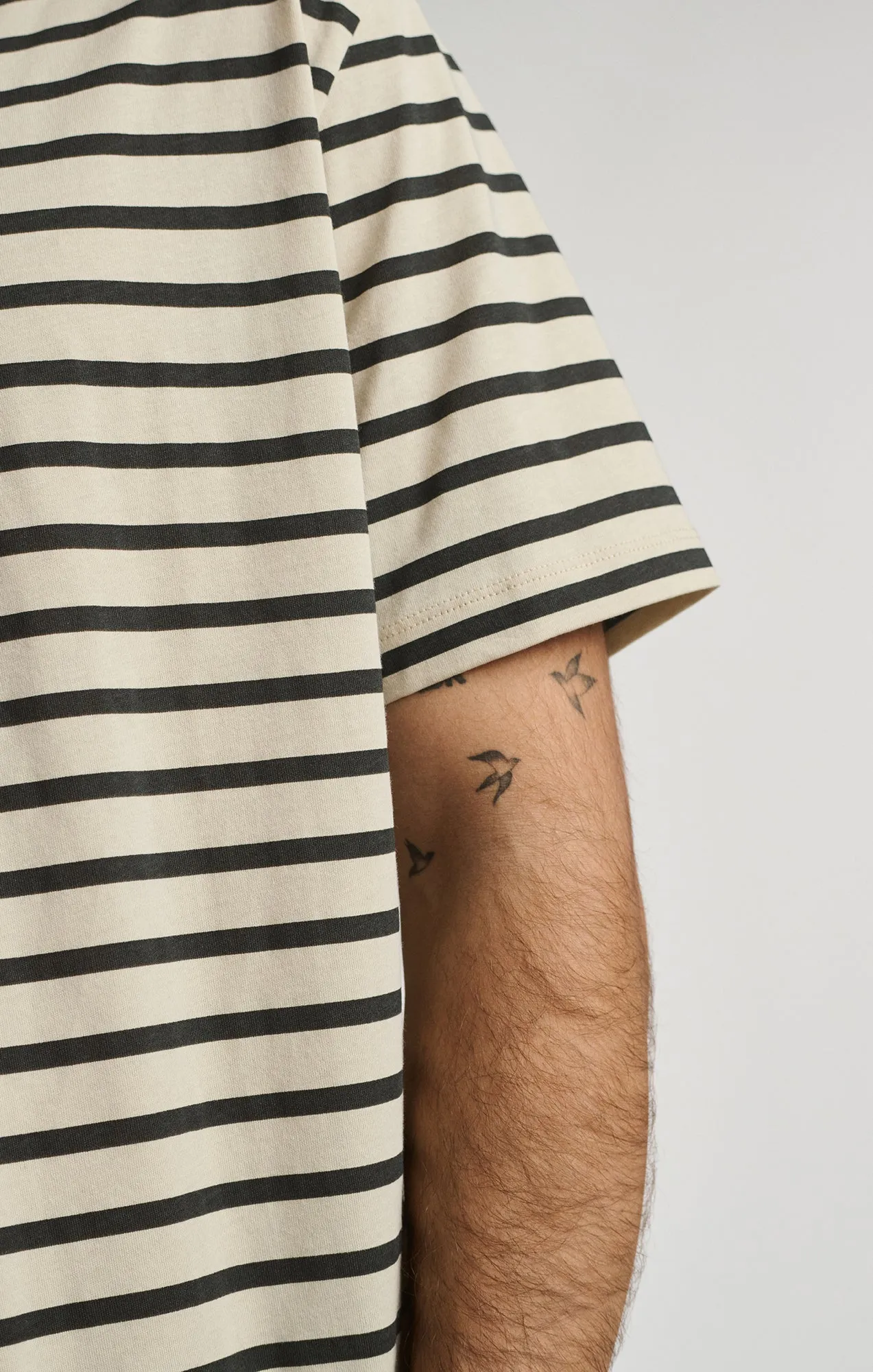 Casual Flex Wear STRIPED SHORT SLEEVE CREW NECK T-SHIRT IN PELICAN