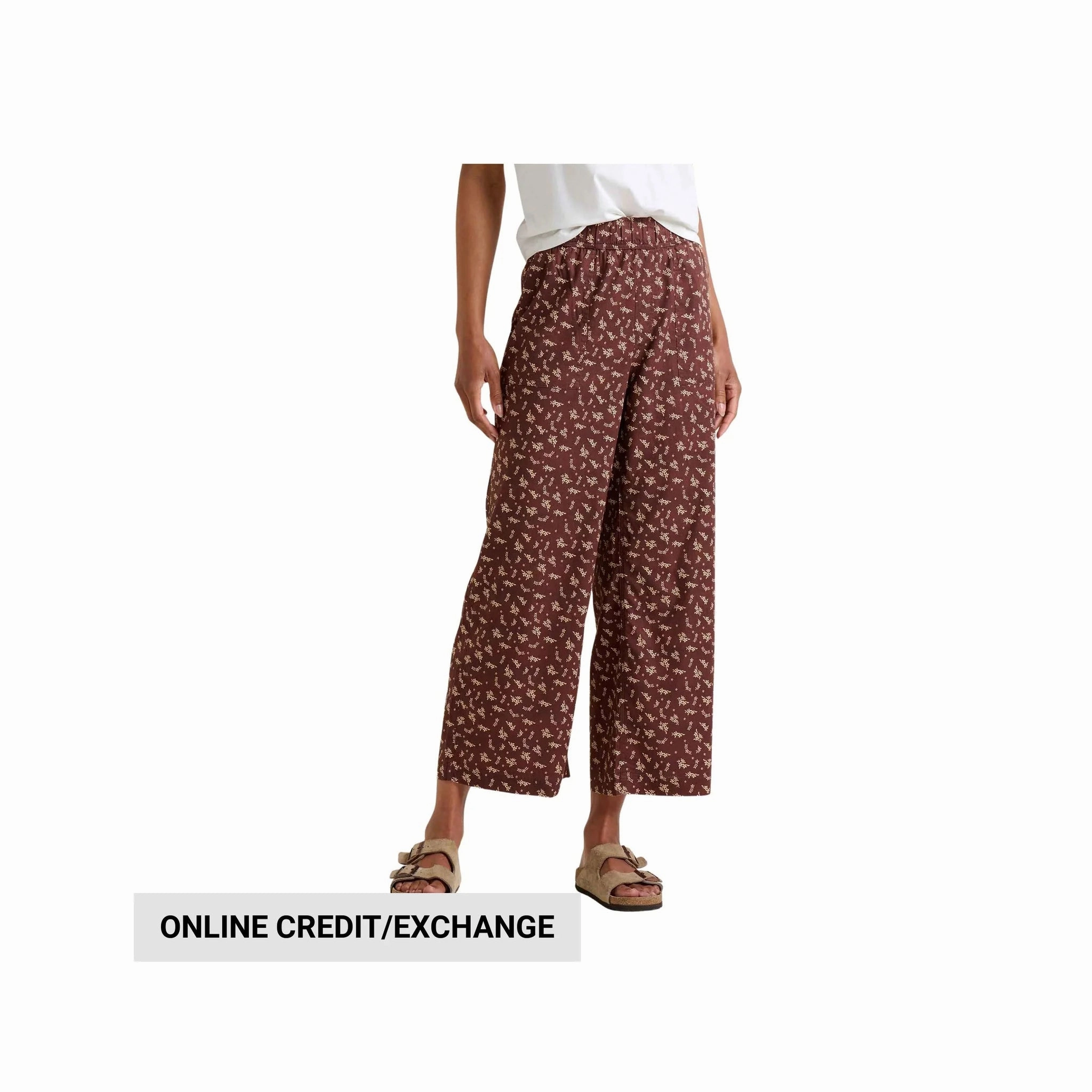 Eco Friendly Dye Process Toad & Co Women's Taj Hemp Wide Leg Pant - Chestnut Floral